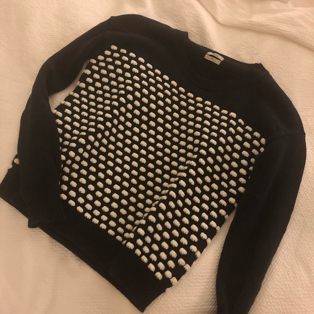Madewell || Wallace Navy and White Sweater